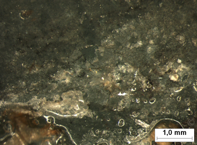 ch014i300