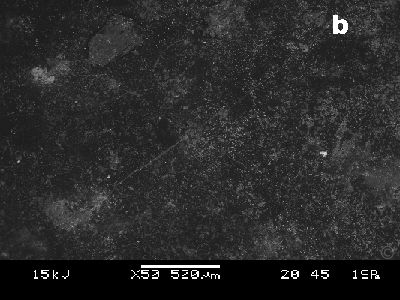 ch016i300
