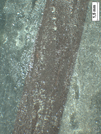 ch043i450