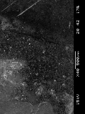 ch085i300